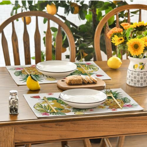 Watermelon Pineapple Lemon Fruit Summer Placemats Set of 4 12x18 Inch Dining Table Decor