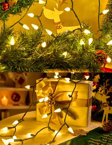 Outdoor Christmas Lights 17ft 50 LED Faceted C6 String Lights - Warm White