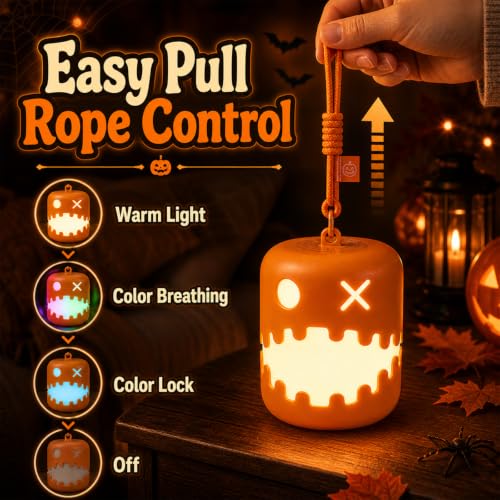 Halloween Pumpkin Lanterns Set of 3 Rechargeable LED Night Lights Indoor Outdoor Decor