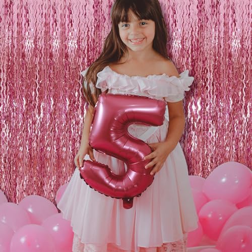 Pink Streamers Fringe Photo Backdrop - Rose Pink Wall Decor 2 Pack
