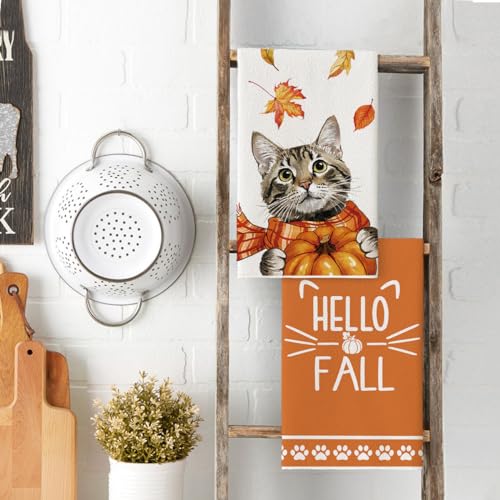 Cat Pumpkin Fall Kitchen Towels Set of 2 - 18x26 Inch, Absorbent & Stylish
