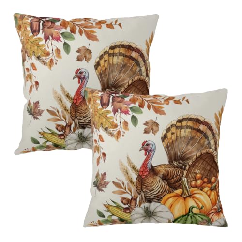 Thanksgiving Fall Turkey Outdoor Decorative Pillow Covers 18x18 Pack of 2 - Double-Sided Print