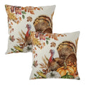 Thanksgiving Fall Turkey Outdoor Decorative Pillow Covers 18x18 Pack of 2 - Double-Sided Print