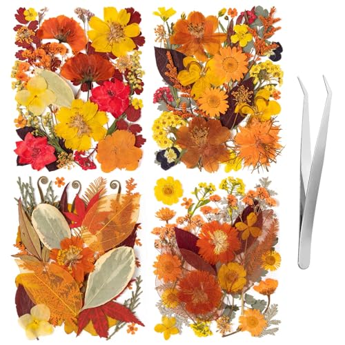Fall Dried Pressed Flowers Leaves with Tweezers - 140 Pcs Autumn DIY Crafts & Decorations - Variation of Fall 140pcs