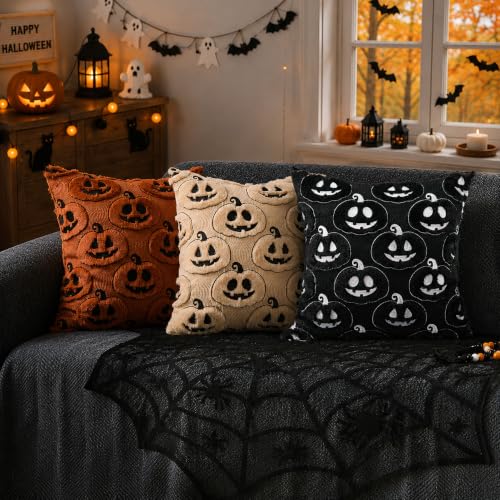 Halloween Pumpkin Pillow Covers 18x18 Set of 2 Black White Decor Variation of Blackwhite Pumpkins