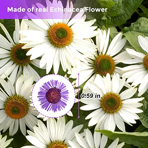 Purple Needle Chrysanthemum Flowers for Resin Jewelry & Craft - 60PCS, Variation: Needle Chrysanthemum-Purple
