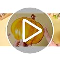 Fall Candy Dish Set - Resin Pumpkin Bowls for Halloween & Thanksgiving - Variation: Pumpkin
