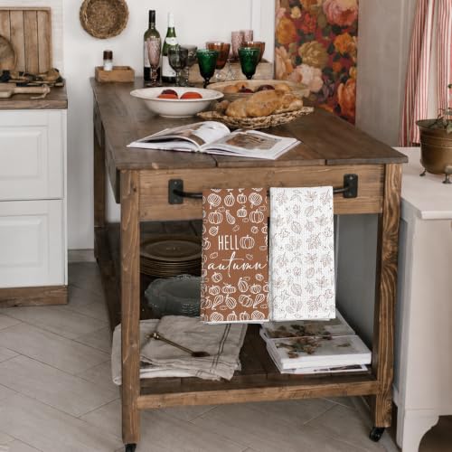 Fall Line Art Neutral Pumpkin Kitchen Decor Dish Towels Set of 2 - Color 12