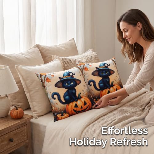 Wizard Cat Halloween Pillow Covers 16x16 Set of 2 - Black Cat Pumpkin Decor