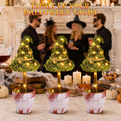 Halloween Witch Hat Topiary Decor with LED Lights - 3 Pieces, Woodland Style