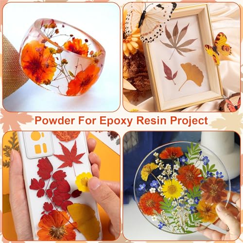 Fall Dried Pressed Flowers Leaves with Tweezers - 140 Pcs Autumn DIY Crafts & Decorations - Variation of Fall 140pcs