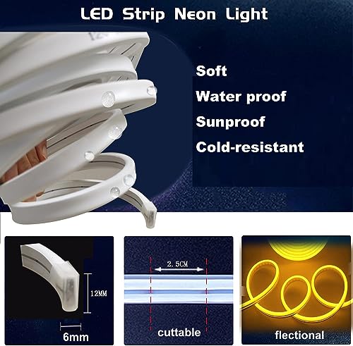 Purple Neon LED Strip Lights 5M 12V Waterproof Flexible Decoration