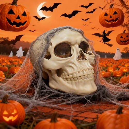Life Size Human Skull Model - Halloween Decor, Medical & Educational Display