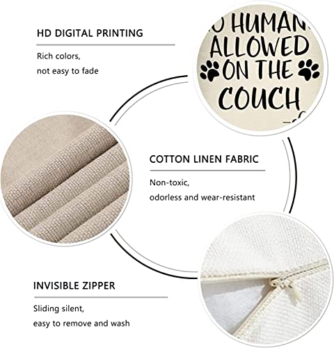No Humans Allowed on The Couch Dog Paw Pattern Decorative Throw Pillow Cover 20x12