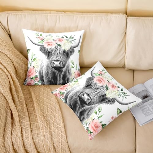 Feelyou Highland Cow Throw Pillow Covers Pack of 2 - 20x20 Inches, Multi