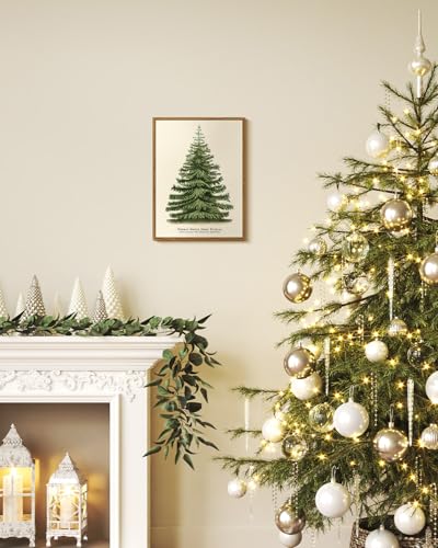 Framed Botanical Fir Pine Tree Wall Art - Winter Holiday Decor, 16x12 Inch - Variation of Fir Pine Tree / 16"L x 12"W