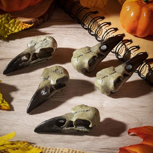 3 Pack Gothic Raven Skull Necklaces Halloween Skull Pendant Jewelry
