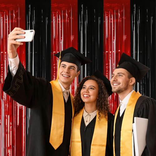 Red and Black Foil Fringe Curtain Set - Metallic Streamer Backdrop for Parties