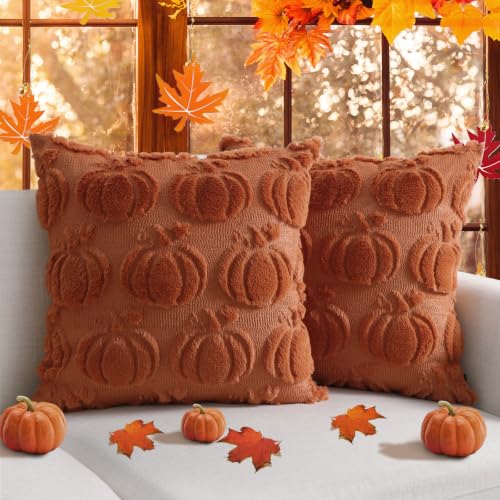 Rust Fall Pumpkin Throw Pillow Covers 18x18 Inch Set of 2 - Autumn Home Decor