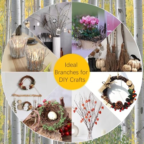 100Pcs 17 Inch Natural Birch Branches for Rustic Decor Wreath Making Crafts & DIY