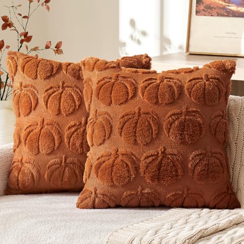 MIULEE Fall Pumpkin Pillow Covers 18x18 Dark Rust Set of 2 - Autumn Decor