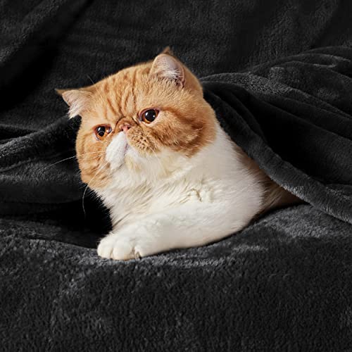Bedsure Fleece Throw Blanket - Ultra Soft Warm Lightweight Bed & Couch Cover