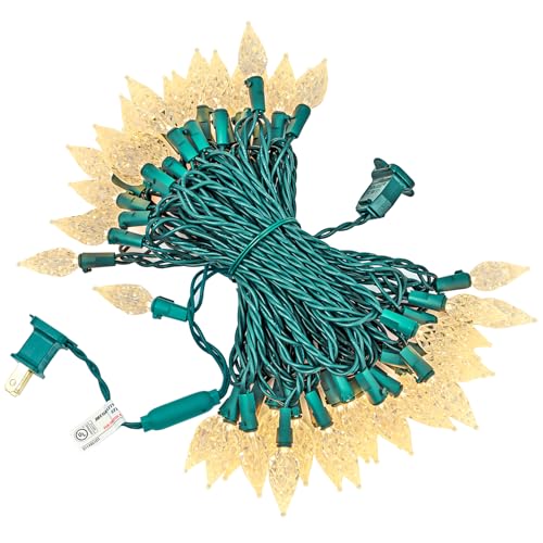 Outdoor Christmas String Lights 25ft 50 LEDs Faceted C6 Warm White