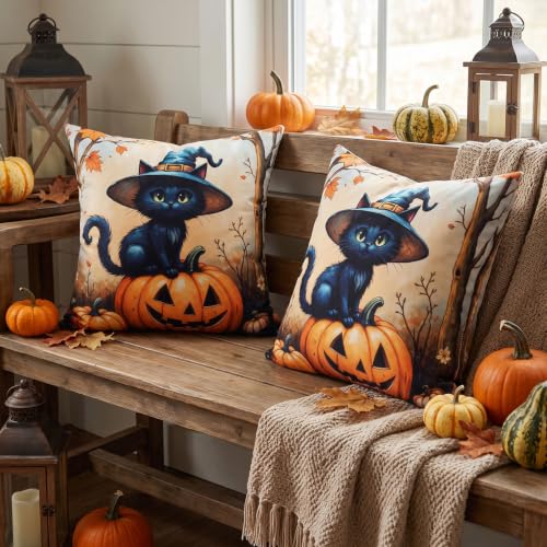 Wizard Cat Halloween Pillow Covers 16x16 Set of 2 - Black Cat Pumpkin Decor