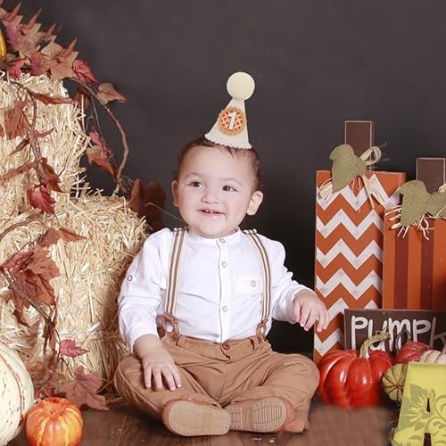 Pumpkin Pie First Birthday Hat - Fall Thanksgiving Party Decor, Rustic Kids Outfit Accessory