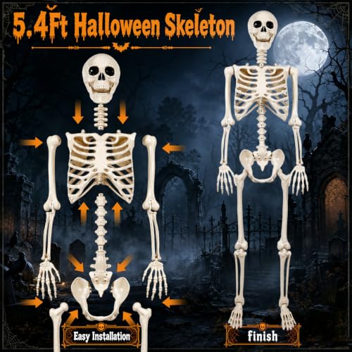 Life-Size Halloween Skeleton Decorations Outdoor - 5.4FT Posable Skeleton