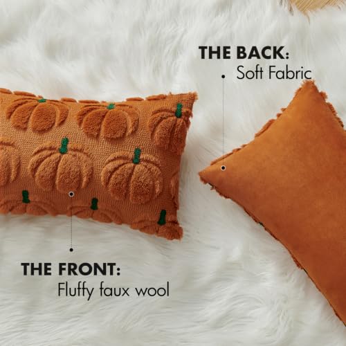 Fall Pumpkin Pillow Covers 12x20 Inch Set of 2 Dark Rust Green Stem Autumn Decor