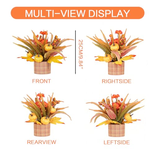 Autumn Thanksgiving Fall Decor Set with Pumpkin Berries Leaves - Orange-A