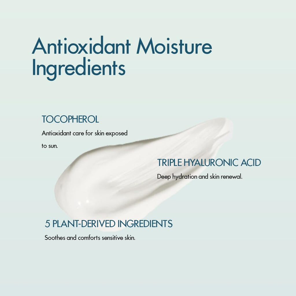 Vita Aqua Korean Sunscreen SPF 50+ | Lightweight Hydrating Sunblock with No White Cast - 1.69 fl oz/50ml