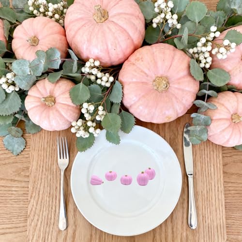 Mini Pink Pumpkins for Crafts - 60 Pcs Fall Decor, Halloween & Thanksgiving