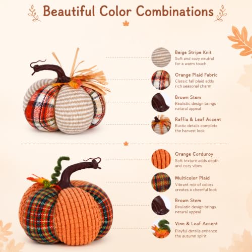Fall Pumpkin Decor Set of 2 - Harvest Thanksgiving Farmhouse Autumn Decorations