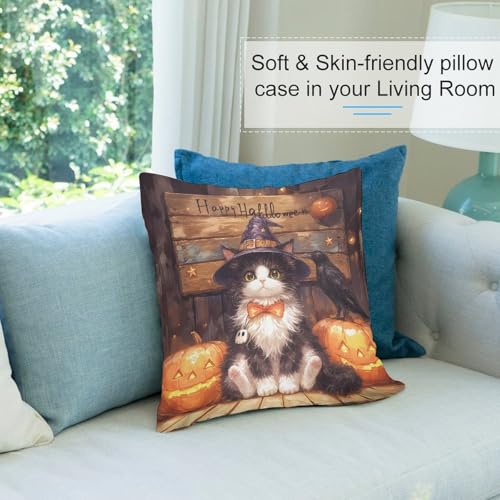 Fall Cartoon Kitten Pumpkin Halloween Throw Pillow Covers Set 20x20 - Pack of 4