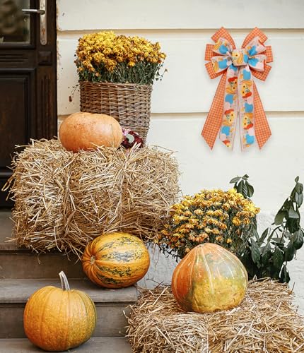Vegetable & Buffalo Plaid Fall Ribbon Set - 2 Rolls, 5 Yards Each, Orange Burlap Wired Edges for Gift Wrap & Decorations