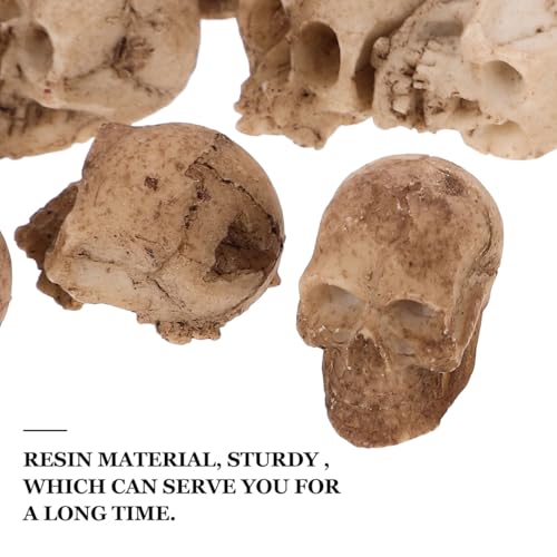 Halloween Mini Skull Figurines Set - 20 Realistic Resin Skeleton Heads for Decorations