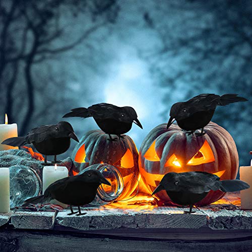 12 Pack Halloween Black Crows and Raven Decorations - Realistic Faux Birds for Haunted House & Gothic Decor