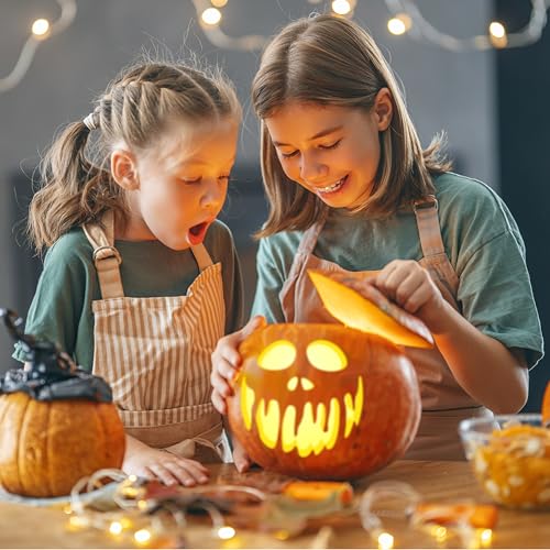 Pumpkin Carving Kit with Saw Tools Pattern Book Safe for Kids & Adults