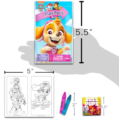 Paw Patrol Skye Party Favors Bundle - 24 Mini Activity Packs for Girls