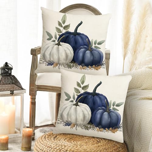 Blue Fall Pumpkin Pillow Covers Set of 2 - 18x18 Inch Autumn Decor