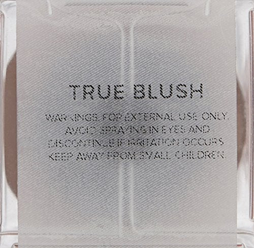 TEMPTU Perfect Canvas Airbrush Blush: Long-Wear Highly-Pigmented Makeup, Buildable Coverage, Luminous, Natural-Looking, Jasper Shade, 1 Fl Oz