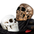 Halloween Skull Statues Set of 2 - Resin Skeleton Heads for Indoor Decor, Gold & White, 7.7 Inch