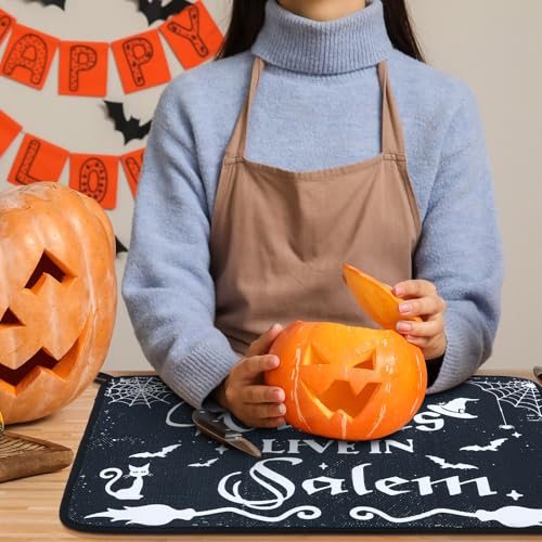 Halloween Dish Drying Mat 18x24 Inches Witches Gothic Kitchen Decor
