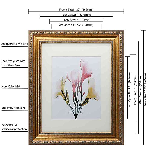 11x14 Mat & 8x10 Photo Frame Antique Gold with HD Organic Glass & Black Velvet Back - Variation of THIS listing