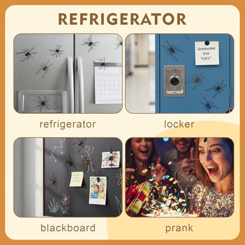 3D Spider Fridge Magnet Set - Realistic Cute Removable Magnetic Decals, Black, 4 Pack – Spider Variation