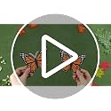 Day of the Dead Paper Flower & Butterfly Decorations - 24 Pcs