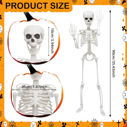 Gray 2-Pack Life Size Skeletons with Posable Joints for Halloween Decor - 3 Ft