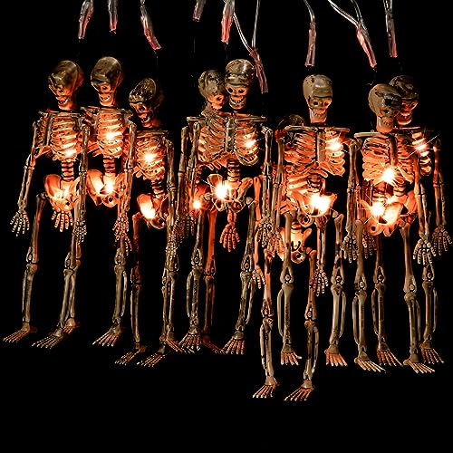 Halloween Skeleton Skull Lighted Decor 2 Pack with LEDs Waterproof Indoor Outdoor